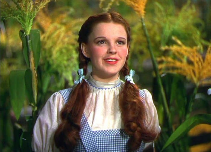 Dorothy Wizard Of Oz Hair Color
