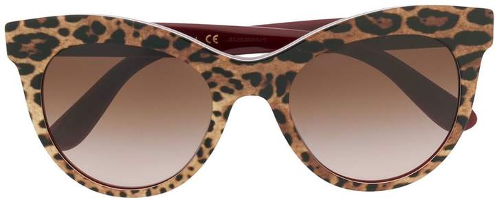 dolce and gabbana leopard glasses